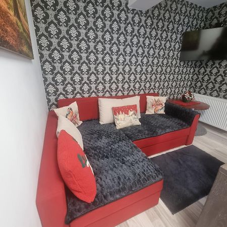 Apartament Kalinderu K2 בוסטאני מראה חיצוני תמונה
