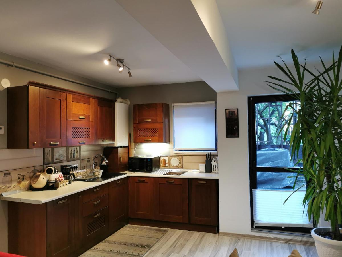 Apartament Kalinderu K2 בוסטאני מראה חיצוני תמונה