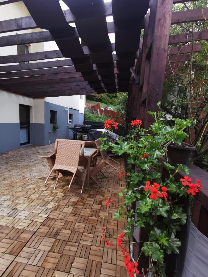 Apartament Kalinderu K2 בוסטאני מראה חיצוני תמונה