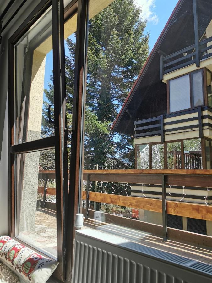 Apartament Kalinderu K2 בוסטאני מראה חיצוני תמונה