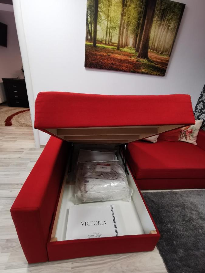 Apartament Kalinderu K2 בוסטאני מראה חיצוני תמונה