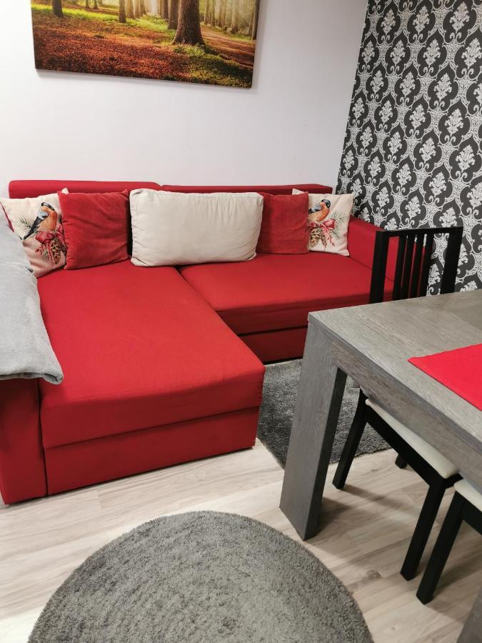 Apartament Kalinderu K2 בוסטאני מראה חיצוני תמונה