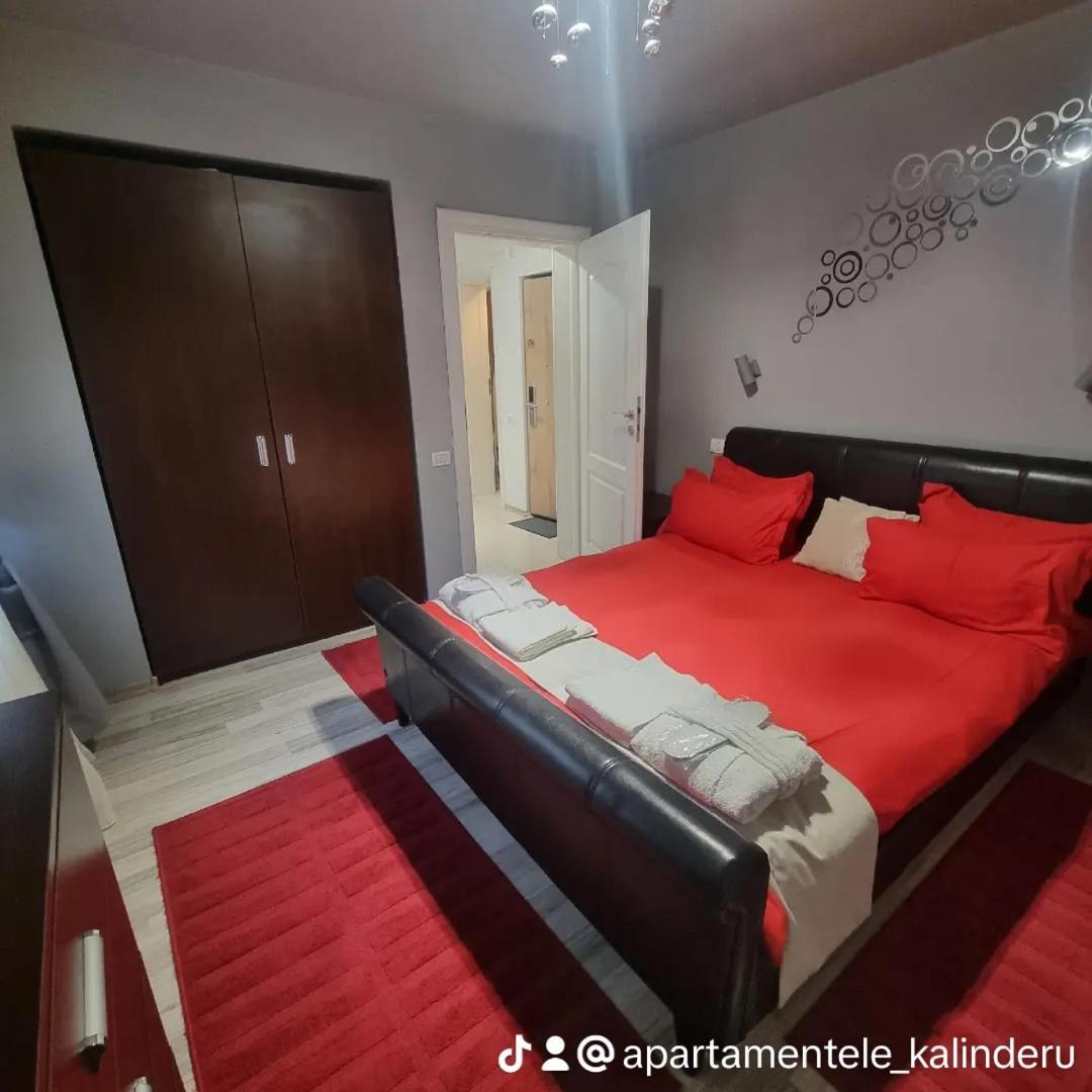 Apartament Kalinderu K2 בוסטאני מראה חיצוני תמונה
