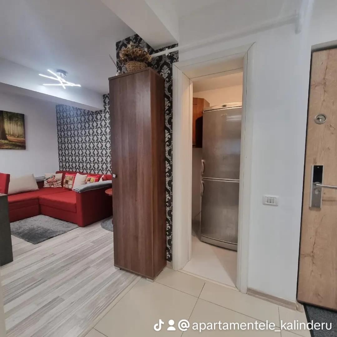 Apartament Kalinderu K2 בוסטאני מראה חיצוני תמונה