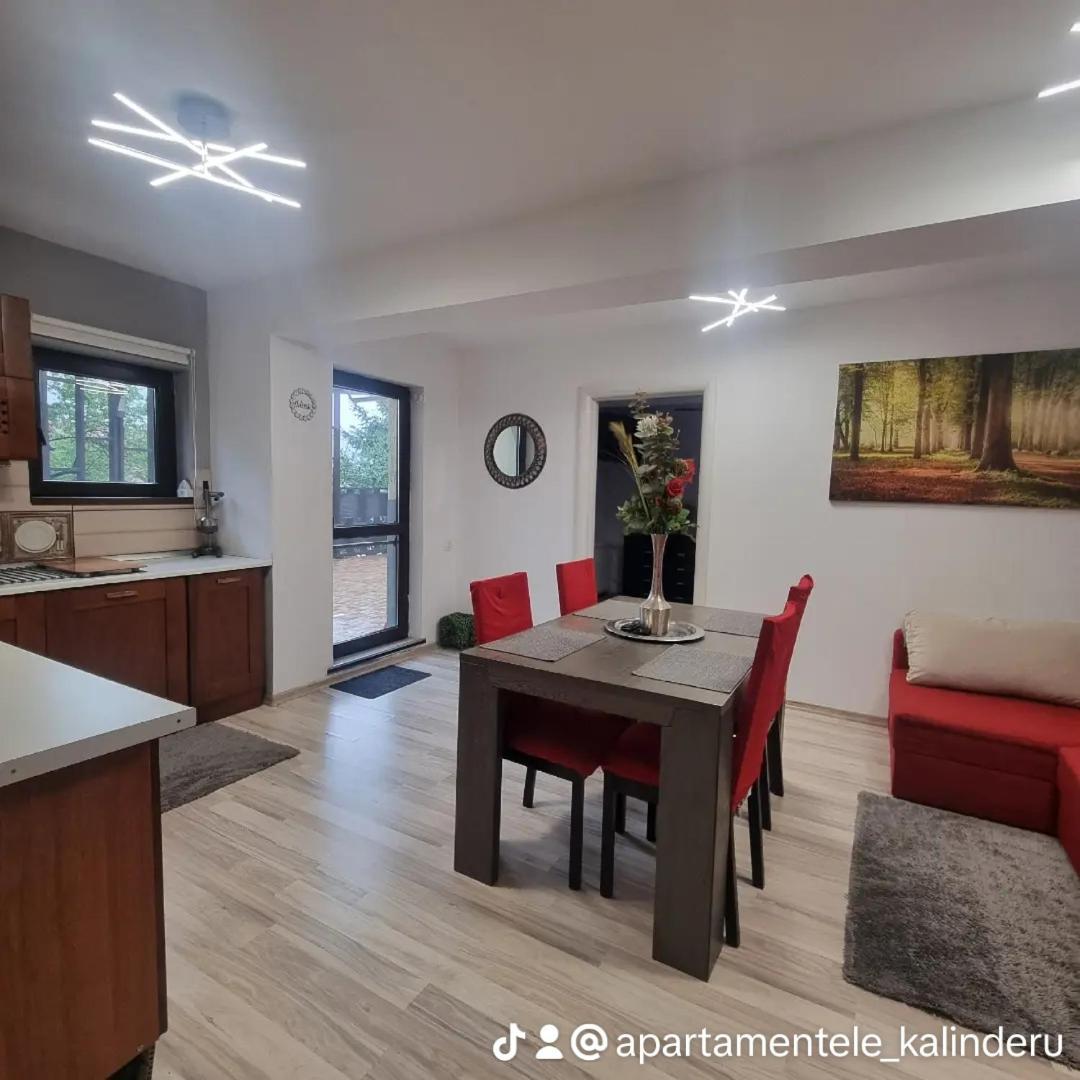 Apartament Kalinderu K2 בוסטאני מראה חיצוני תמונה