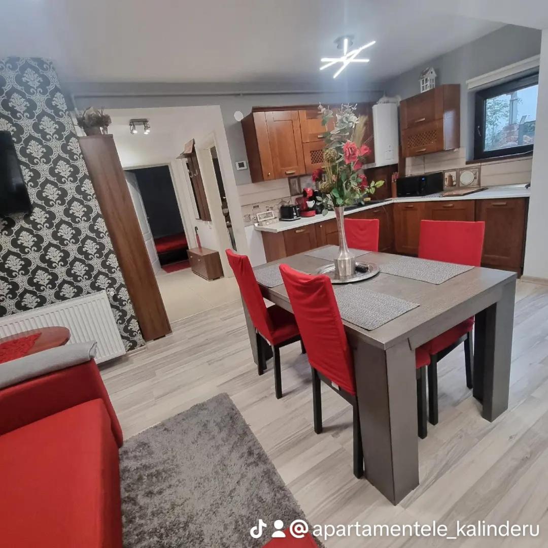 Apartament Kalinderu K2 בוסטאני מראה חיצוני תמונה
