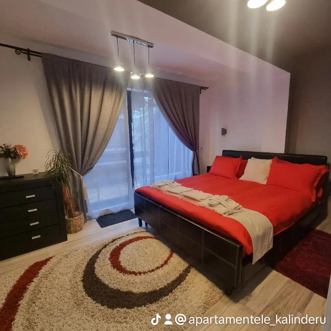 Apartament Kalinderu K2 בוסטאני מראה חיצוני תמונה