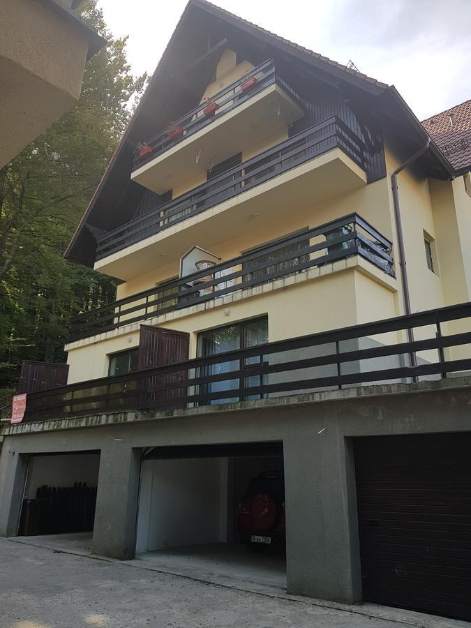 Apartament Kalinderu K2 בוסטאני מראה חיצוני תמונה