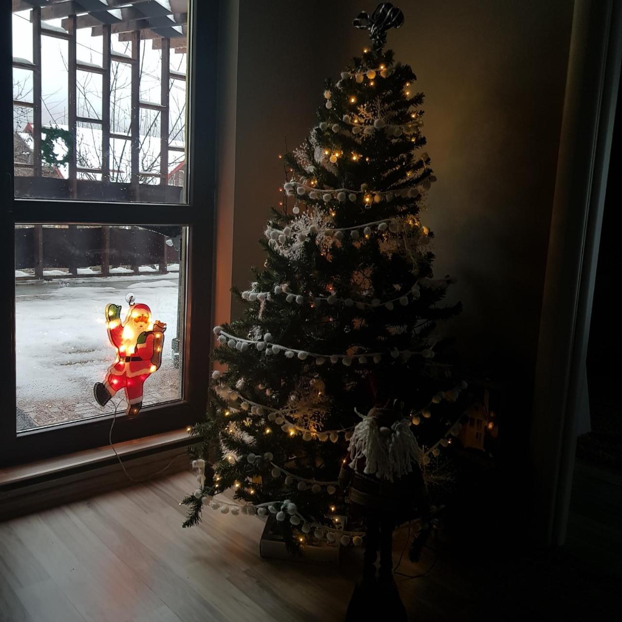 Apartament Kalinderu K2 בוסטאני מראה חיצוני תמונה