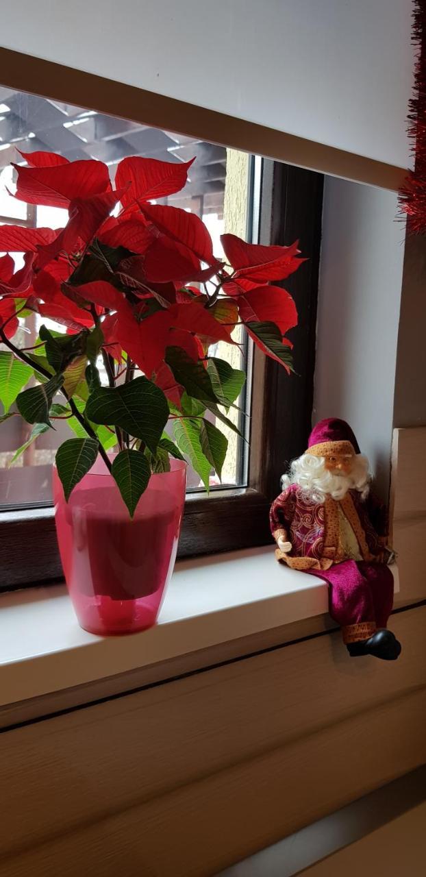 Apartament Kalinderu K2 בוסטאני מראה חיצוני תמונה